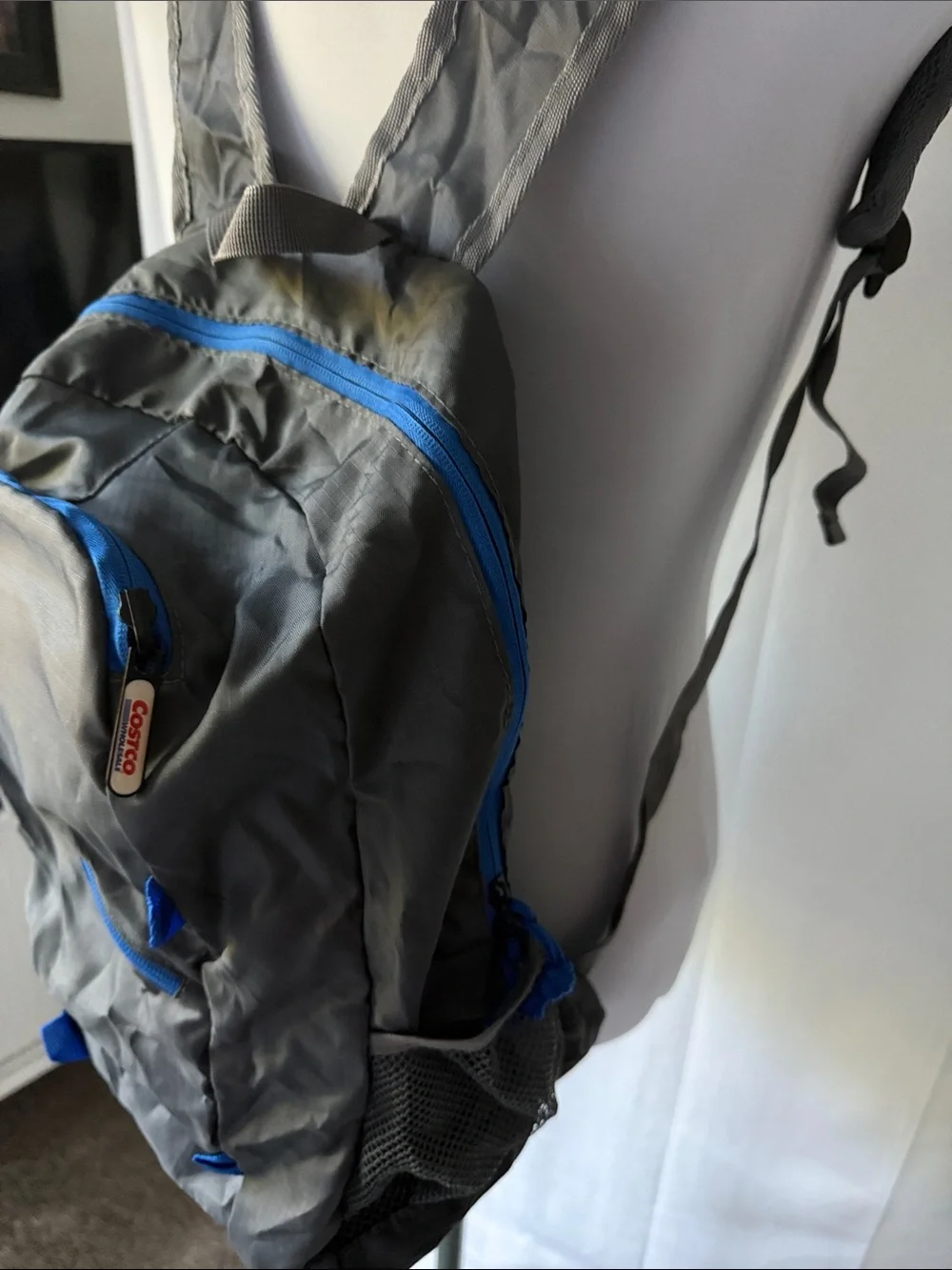 costco packable backback